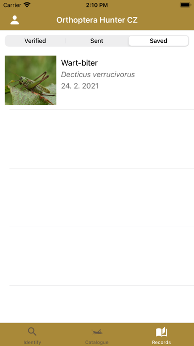Lovec Rovnokřídlých CZ Screenshot