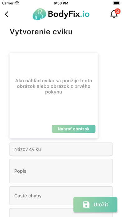 BodyFix.io Expert Screenshot