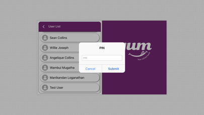 YUMCAYMANPOS Screenshot