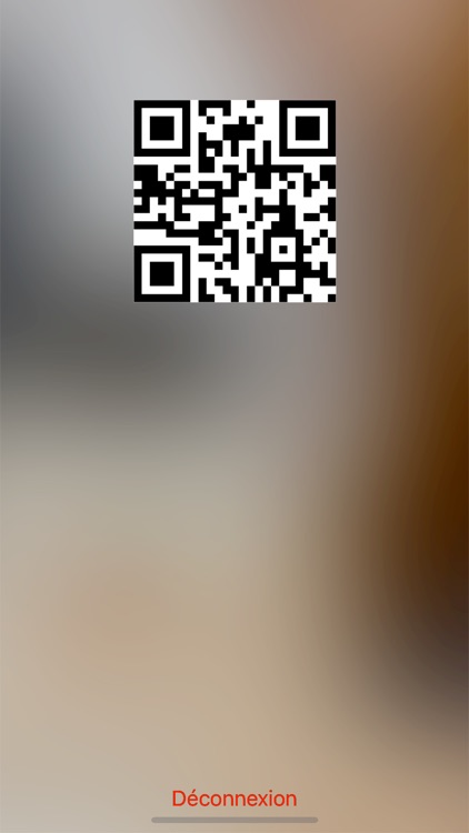 GSE QR BTP Mobile