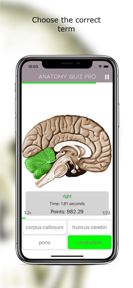 Anatomy Quiz Liteのおすすめ画像5