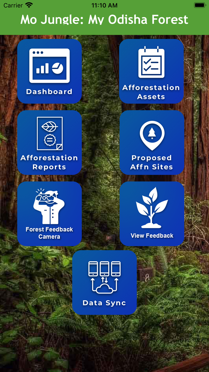 Mo Jungle My Odisha Forest