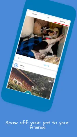 The app Pet Star - Happy,Share,Photo Game screenshot Pet Star - Happy,Share,Photo apk