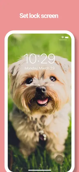 Game screenshot Dog Wallpapers -Picture, Movie hack