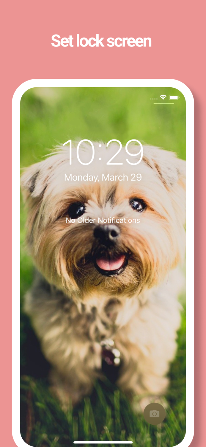 Dog Wallpapers -Picture Movie