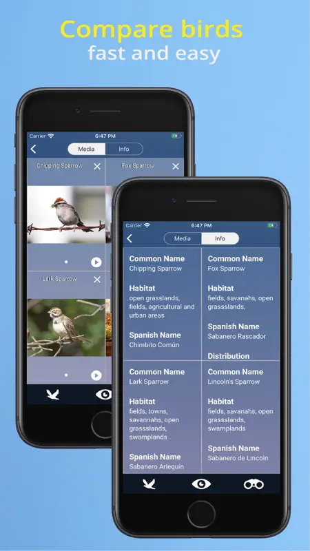 Bird Id USA - backyard birds screenshot 5 of 10