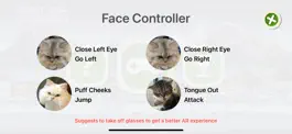 Game screenshot Face KungFu apk