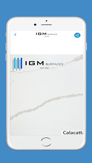 IGM Surfaces Screenshot