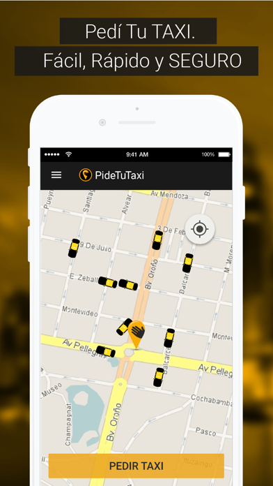 PideTuTaxi Screenshot