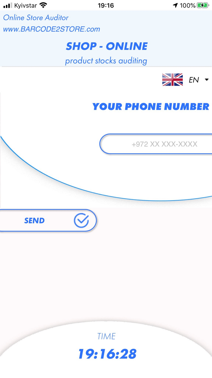 Online Store Auditor