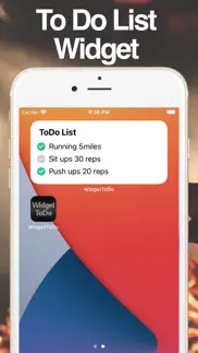 to do list widget: widgettodo iphone screenshot 1
