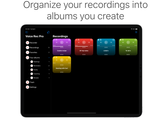 Voice Recorder Professional iPad app afbeelding 3