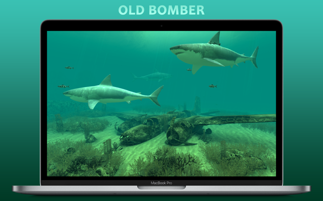 ‎Sharks 3D Screenshot