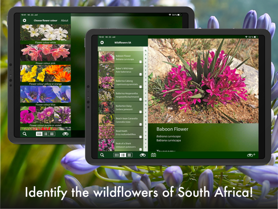 Screenshot #5 pour Wildflowers of South Africa