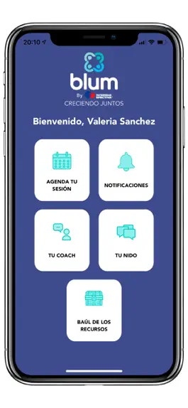 Game screenshot Blum apk