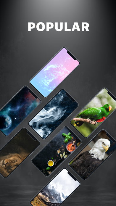 Live Wallpapers 4K & Themes Screenshot