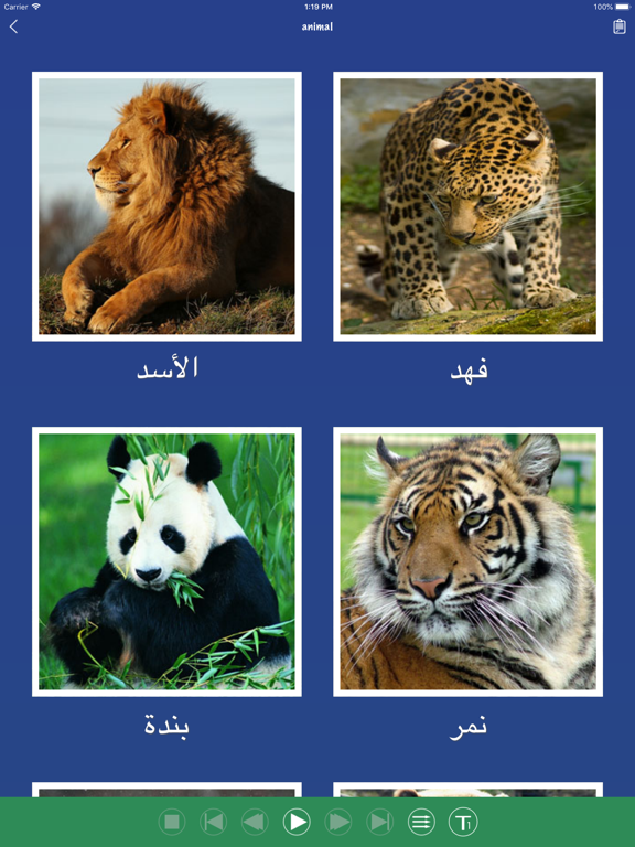 Screenshot #5 pour Mot arabe Flashcards