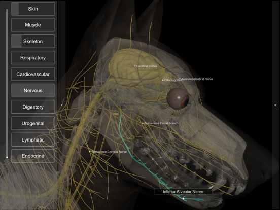 3D Canine Anatomyのおすすめ画像10