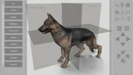 Game screenshot 3D Canine Anatomy mod apk