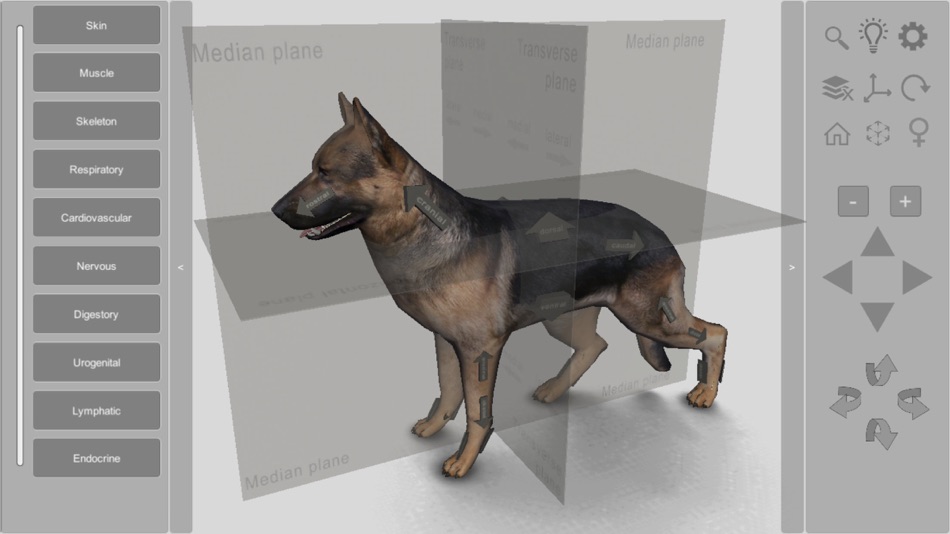 3D Canine Anatomy - 2.05 - (iOS)