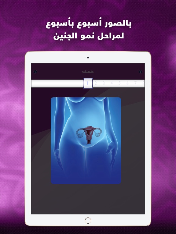 Screenshot #6 pour انت والحمل دليل الام الحامل