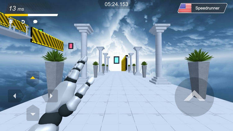 run pro online screenshot-4