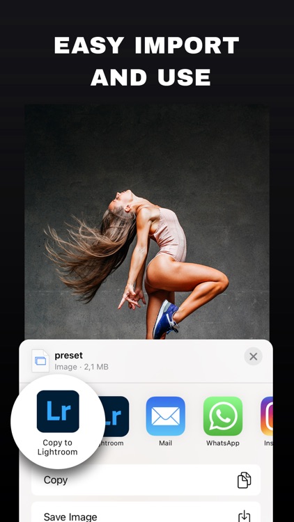 Filters for Lightroom - HUE