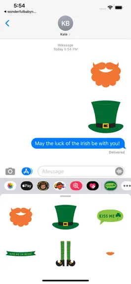 Game screenshot St. Patricks Day Fun! apk
