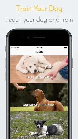 Game screenshot My Dog App - Care my Dog apk