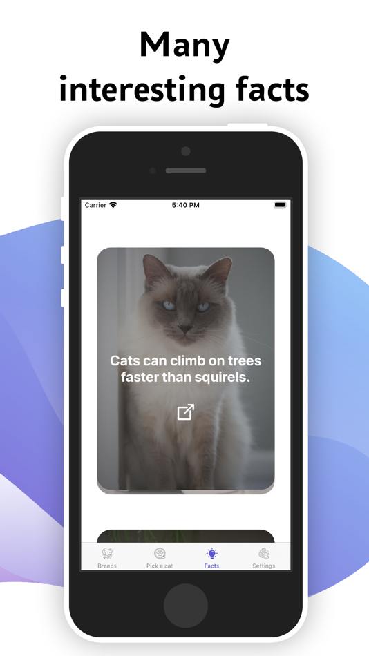 #3. Cat Breeds - Information Facts (iOS) 由: Danila Danilenko