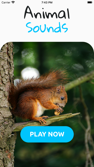 Animal Sounds Player Screenshot
