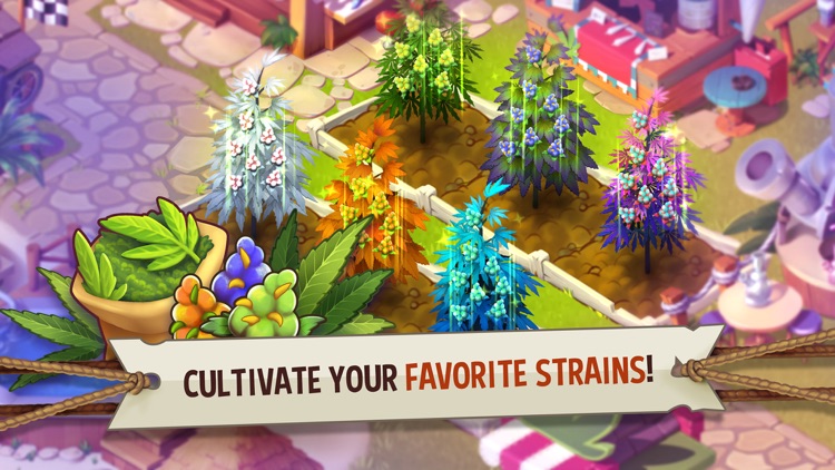 Hemp Paradise