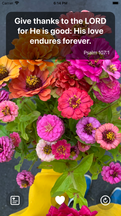 Screenshot #1 pour Bible Quotes Widget