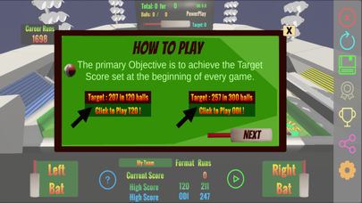 PinBall Cricket Screenshot