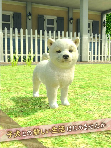 with My DOG - 犬とくらそう -のおすすめ画像1