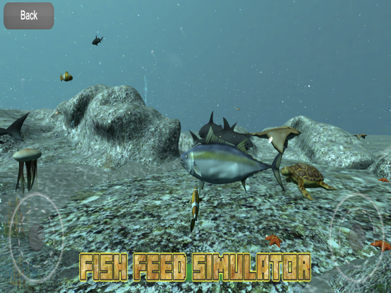 Fish Feed Simulator 3D