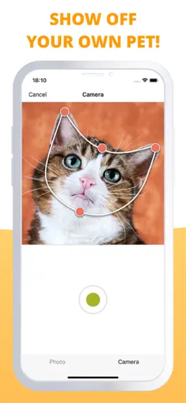 Game screenshot My Talking Animals & Pet App apk