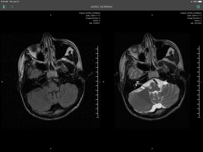 Synapse Mobility Global