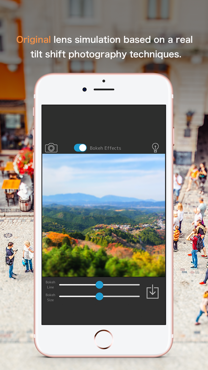 minista Professional