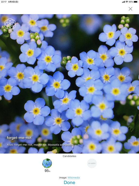 hananona app iPad screenshot 3 - Photo & Video app