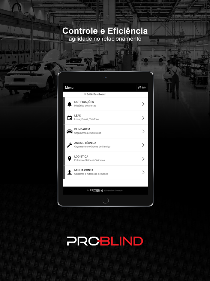 PROBlind Demo