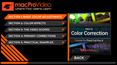 Intro to Color Correction screenshot 2