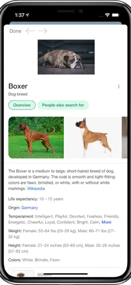 Game screenshot Dog Breed AI apk