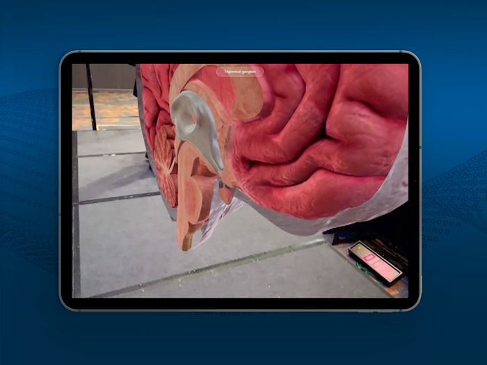 ImmerseRx Live Spectator