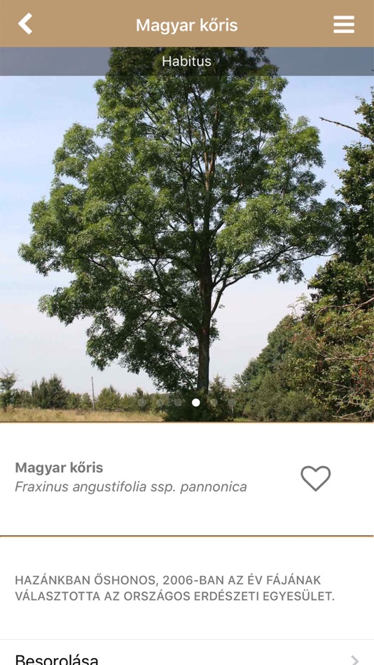 #3. Fa Book interaktív fahatározó (iOS) 由: Green Go Imagination