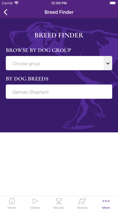 Westminster Dog Show Screenshot