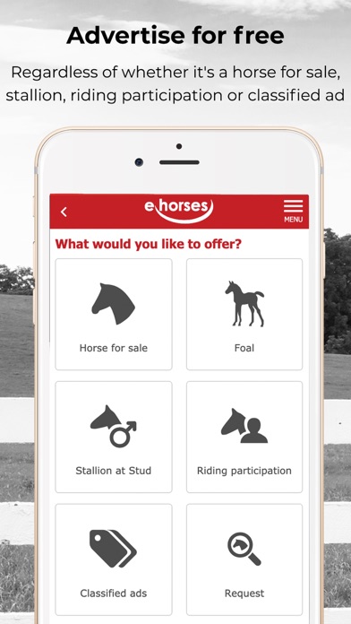 ehorses Screenshot