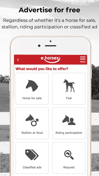 ehorses