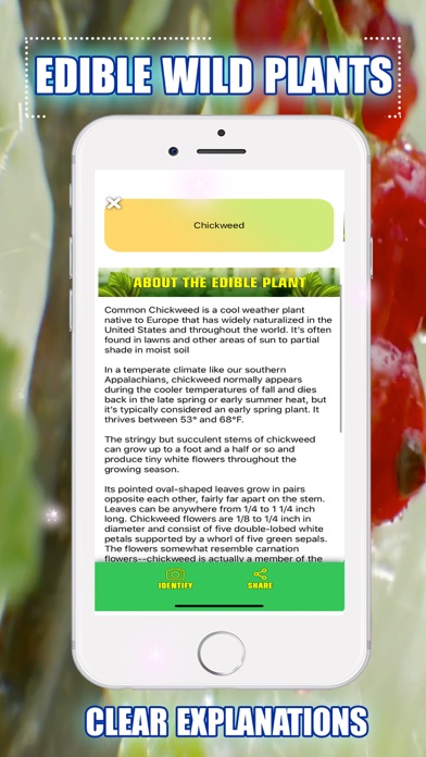 Edible Wild Plants Screenshot