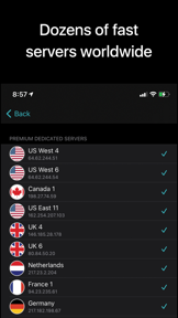 NetShade DNS screenshot